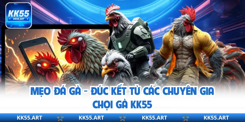 Mẹo Đá Gà - Đúc Kết Từ Các Chuyên Gia Chọi Gà KK55