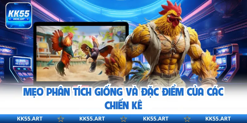 Mẹo phân tích giống và đặc điểm của các chiến kê