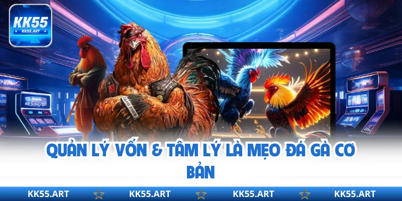 Quản lý vốn & tâm lý là mẹo đá gà cơ bản